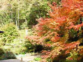 湯本館周辺の秋の風景
