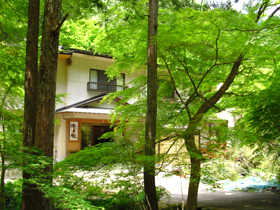 春が終わると、旅館の周りは夏にむけて木々たちの新緑に囲まれます