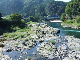 長良川は日本三大清流のひとつと言われる清流です