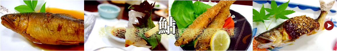 鮎