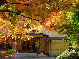 旅館前の紅葉