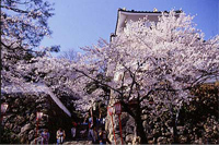 小倉公園