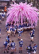 美濃祭り